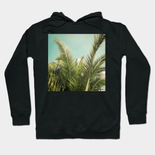 Exotica Hoodie